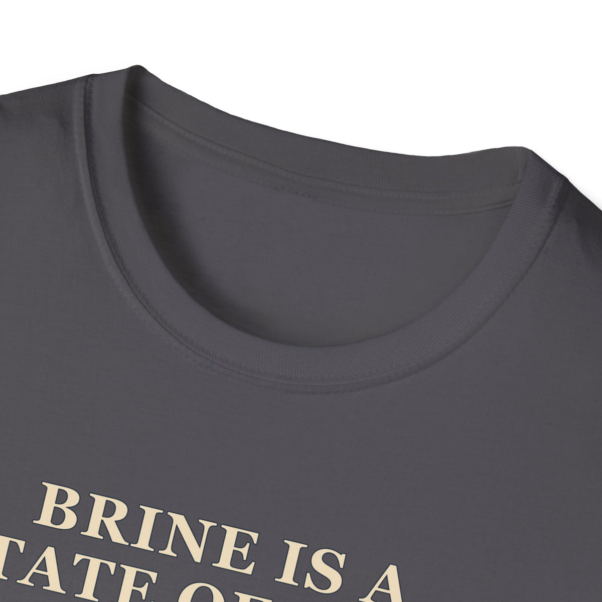 Brine Is a State of Mind Tee – Everyday Softstyle