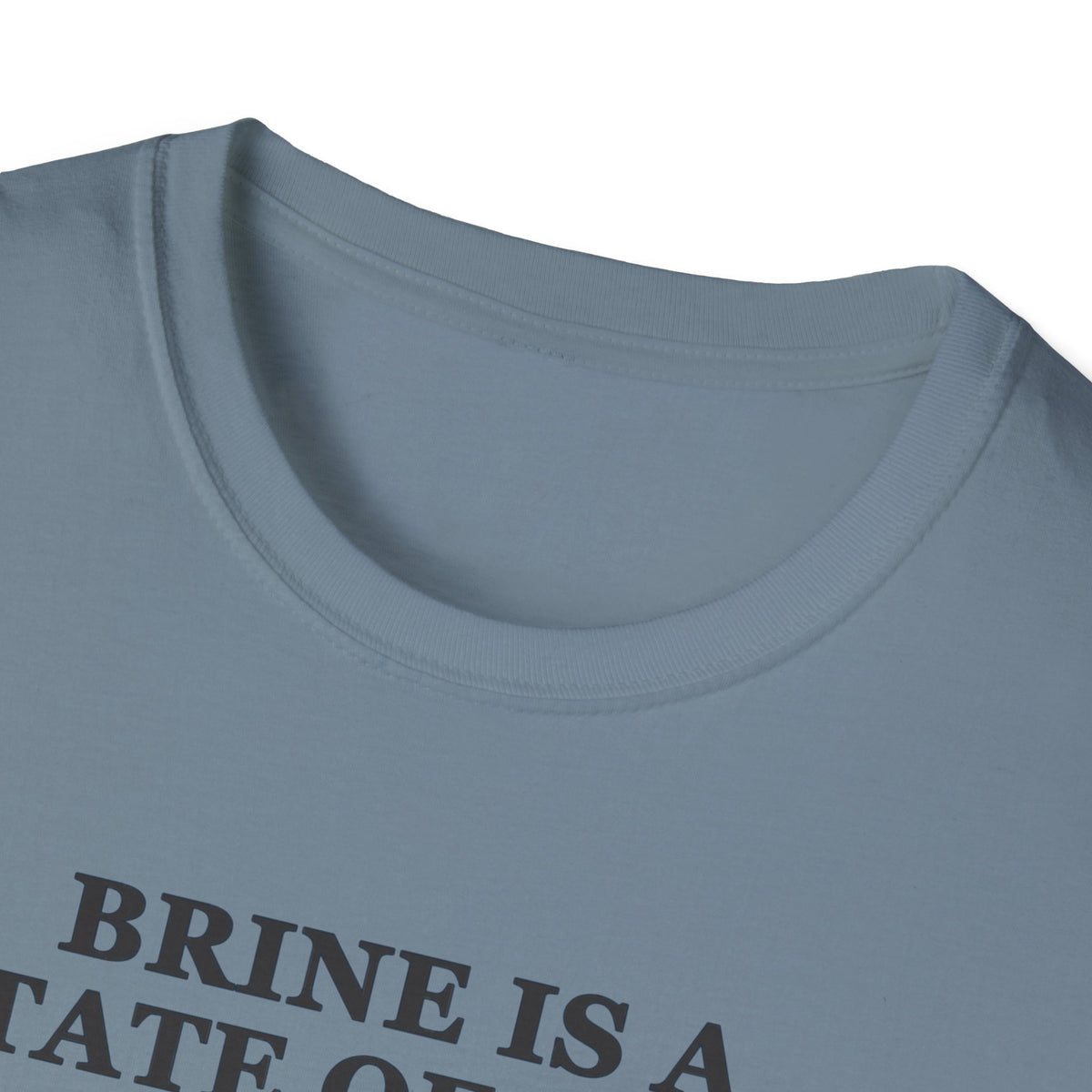 Brine Is a State of Mind Tee – Everyday Softstyle